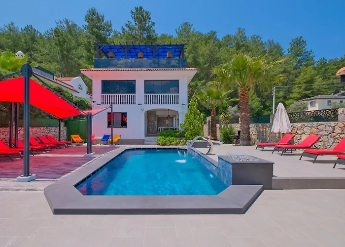 Xclusive Villa Uzumlu